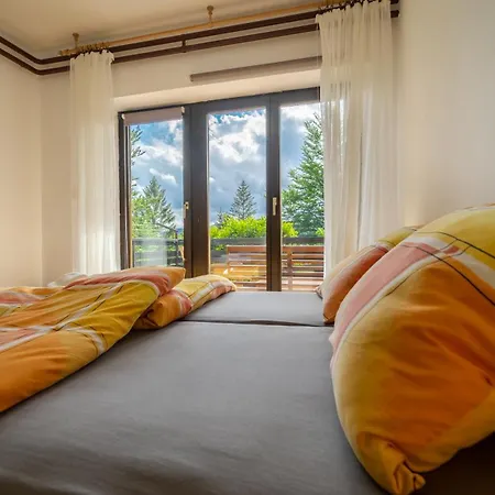 Appartement Ornela Delnice